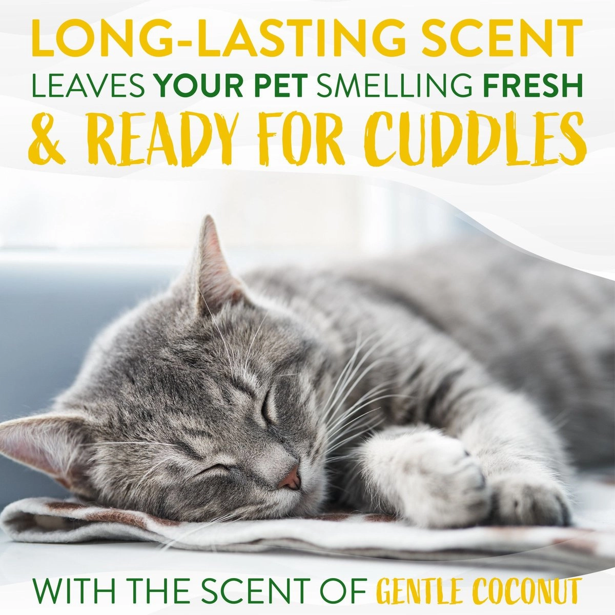 TropiClean Gentle Coconut Hypoallergenic Cat & Kitten Shampoo