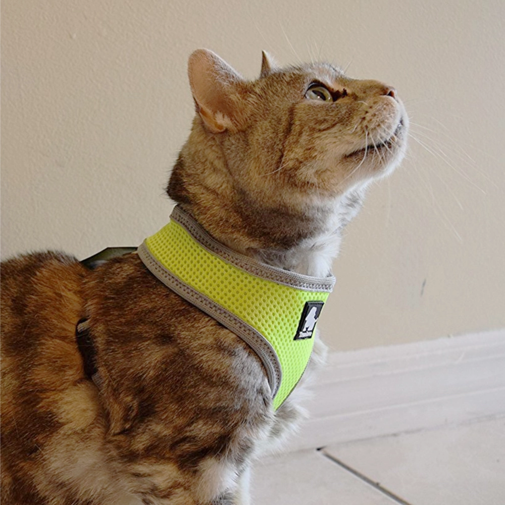 Truelove Harness for Cats and Small Dogs (Black)