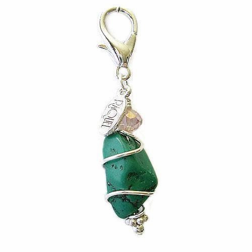 Turquoise Nugget Healing Dog Collar Charm Pawmulet dog collar charm,pet tag
