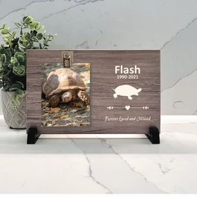 Turtle Memorial Gift - Personalized Turtle Memorial Frame