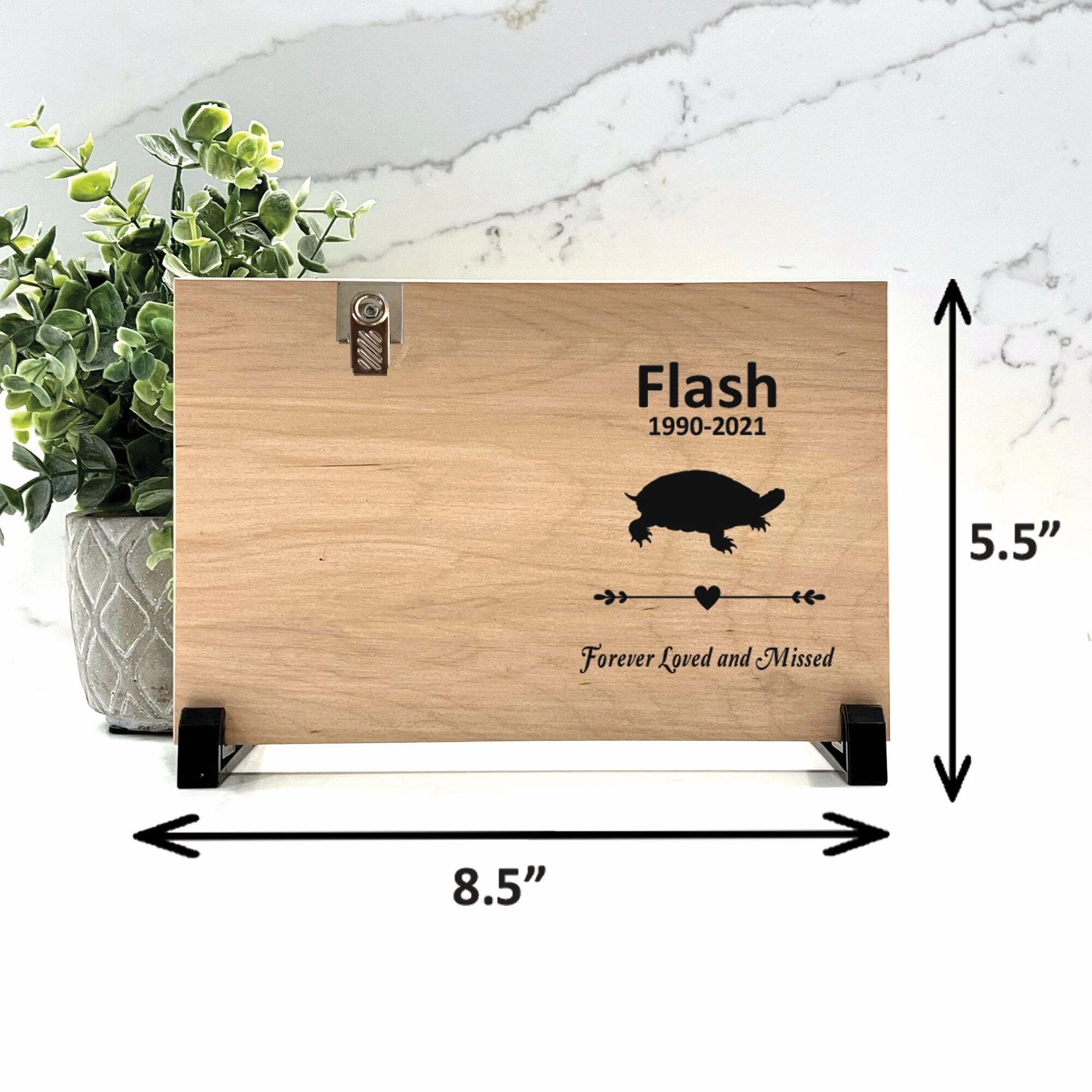 Turtle Memorial Gift - Personalized Turtle Memorial Frame