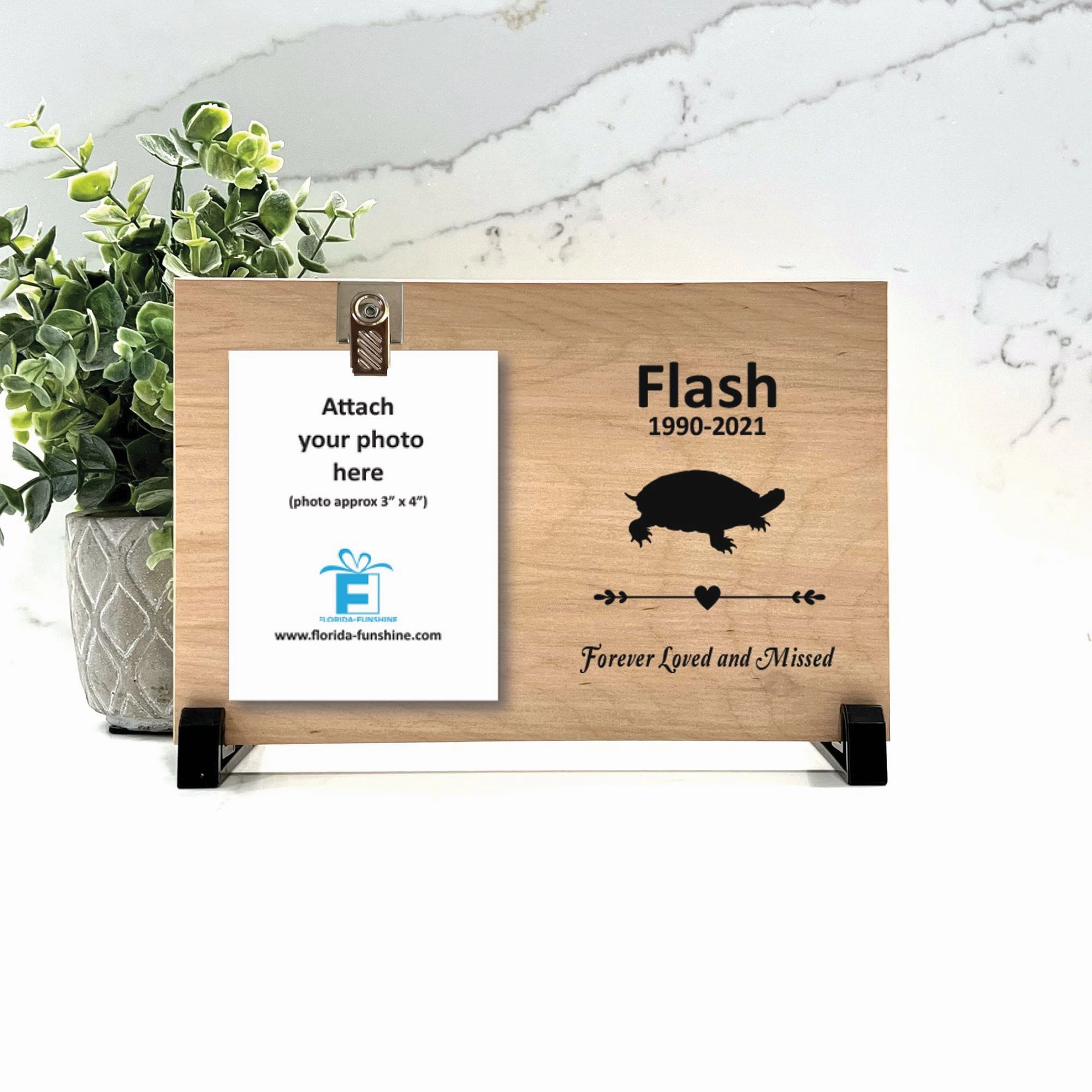 Turtle Memorial Gift - Personalized Turtle Memorial Frame