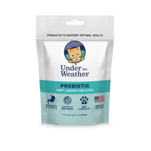 Under the Weather Probiotic for Cats 60 chews adult cat food, best cat food for adults