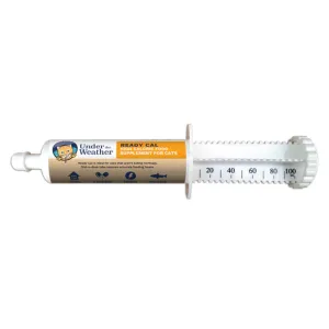 Under the Weather Ready Cal High Calorie Supplement for Cats 80cc tube adult cat food, best cat food for adults