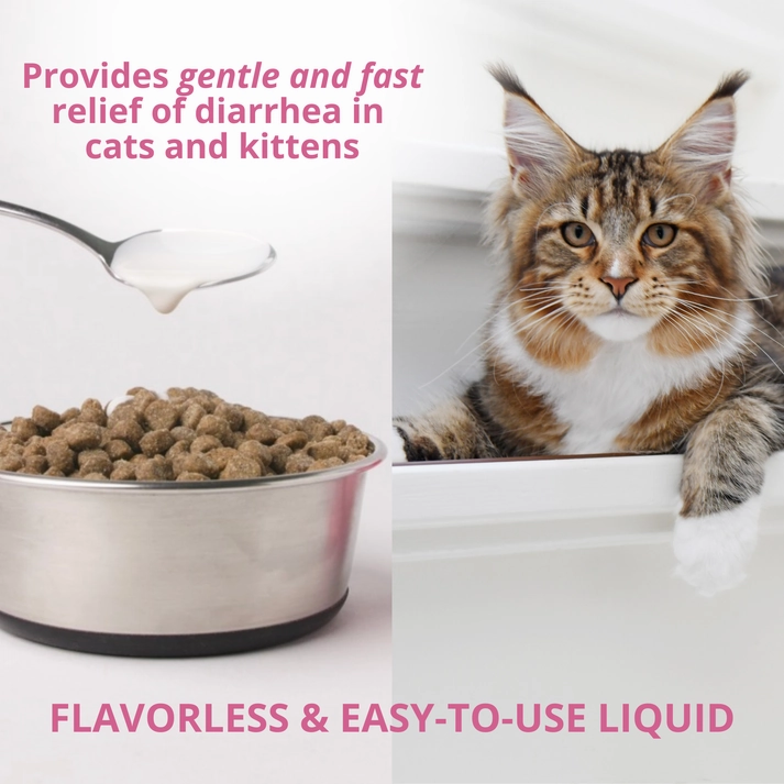 Under the Weather Anti-Diarrhea Liquid Supplement For Cats