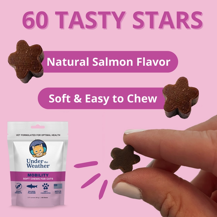 Under the Weather Mobility Soft Chews Supplement for Cats