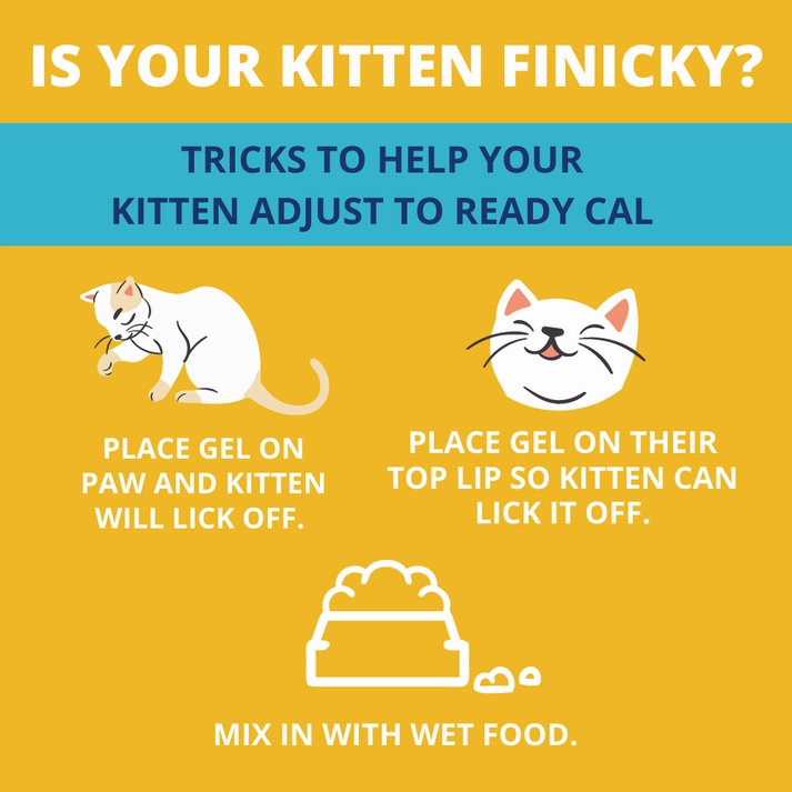 Under the Weather Ready Cal High-Calorie Supplement For Kittens
