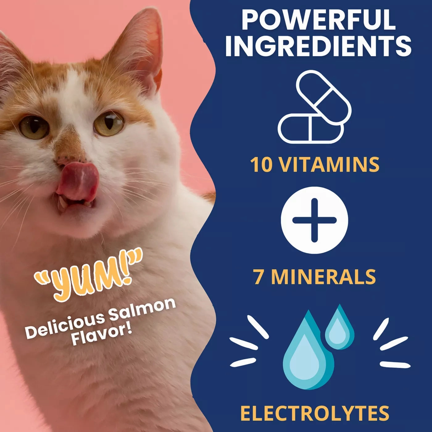 Under the Weather Ready Cal Plus Electrolytes High-Calorie Supplement for Cats