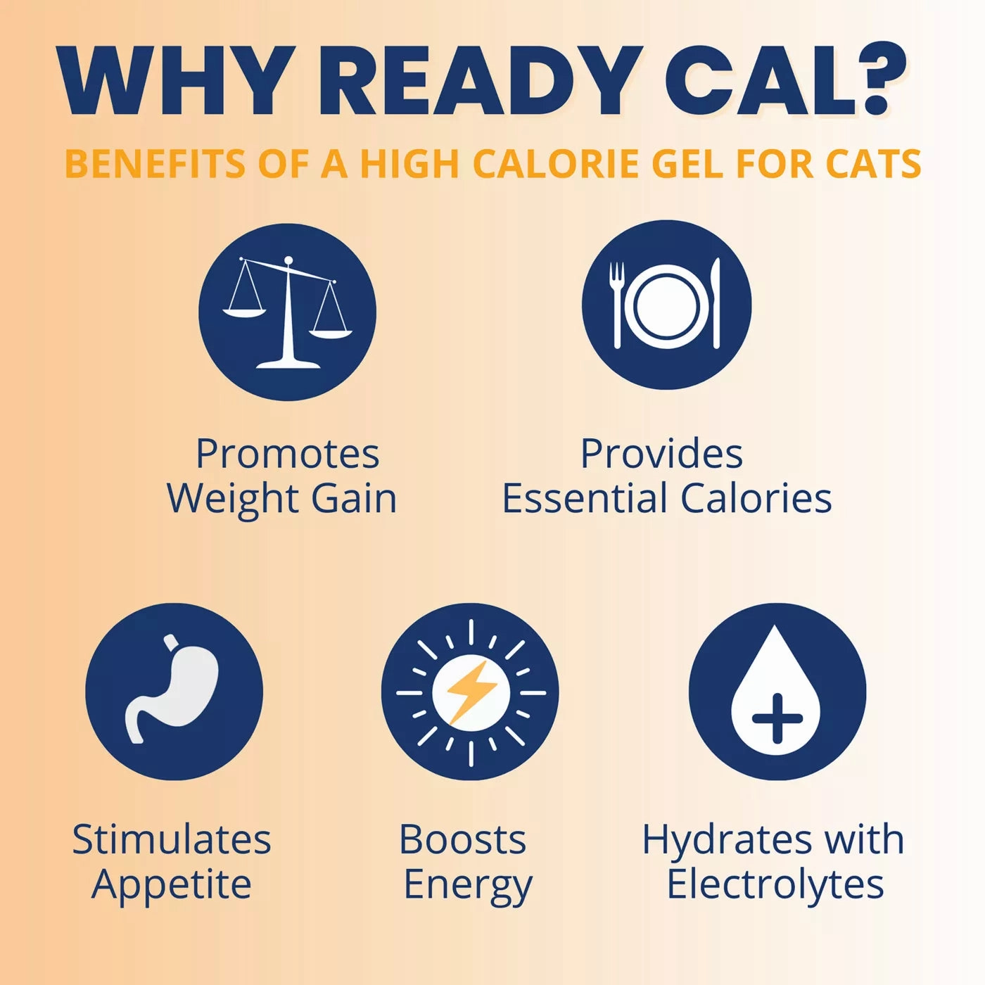 Under the Weather Ready Cal Plus Electrolytes High-Calorie Supplement for Cats