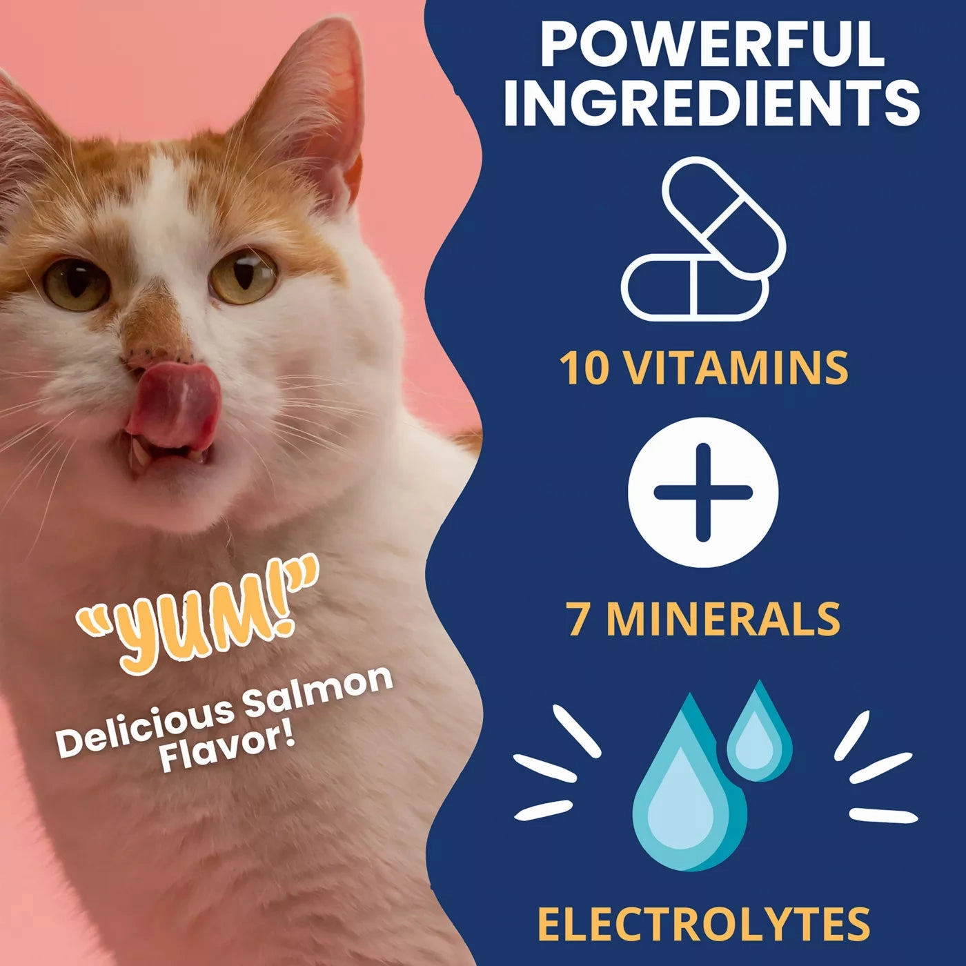 Under the Weather Ready Cal Plus Electrolytes High-Calorie Supplement for Cats