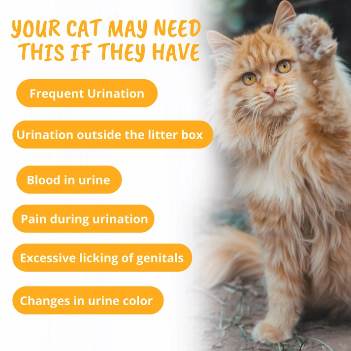 Under the Weather Urinary Support Soft Chews Supplement for Cats