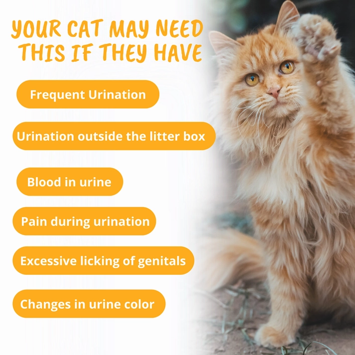 Under the Weather Urinary Support Soft Chews Supplement for Cats
