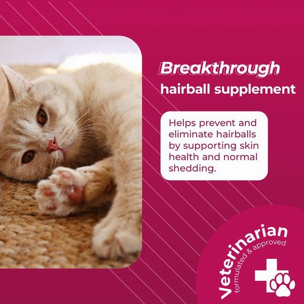 VetriScience Hairball Chicken Liver Flavored Soft Chews Hairball Control Supplement for Cats