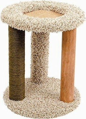 Ware Carpet Playground-N-Lounge cat essentials, basic cat supplies