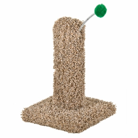 Ware Kitty Cactus With Pom Pom cat essentials, basic cat supplies