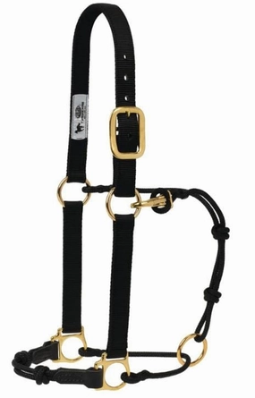 Weaver Horseman's Halter bird pet,aviary product