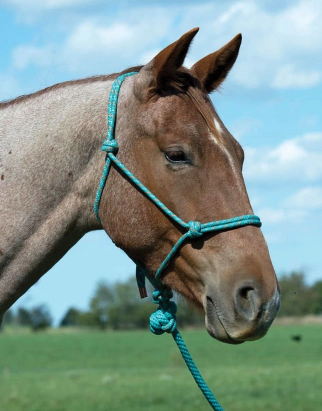 Weaver Leather Diamond Braid Rope Halter with Lead