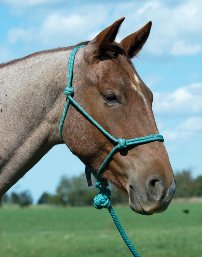 Weaver Leather Diamond Braid Rope Halter with Lead