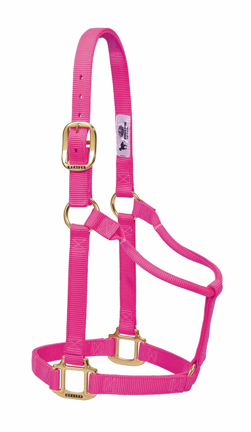 Weaver Original Nylon Horse Halter