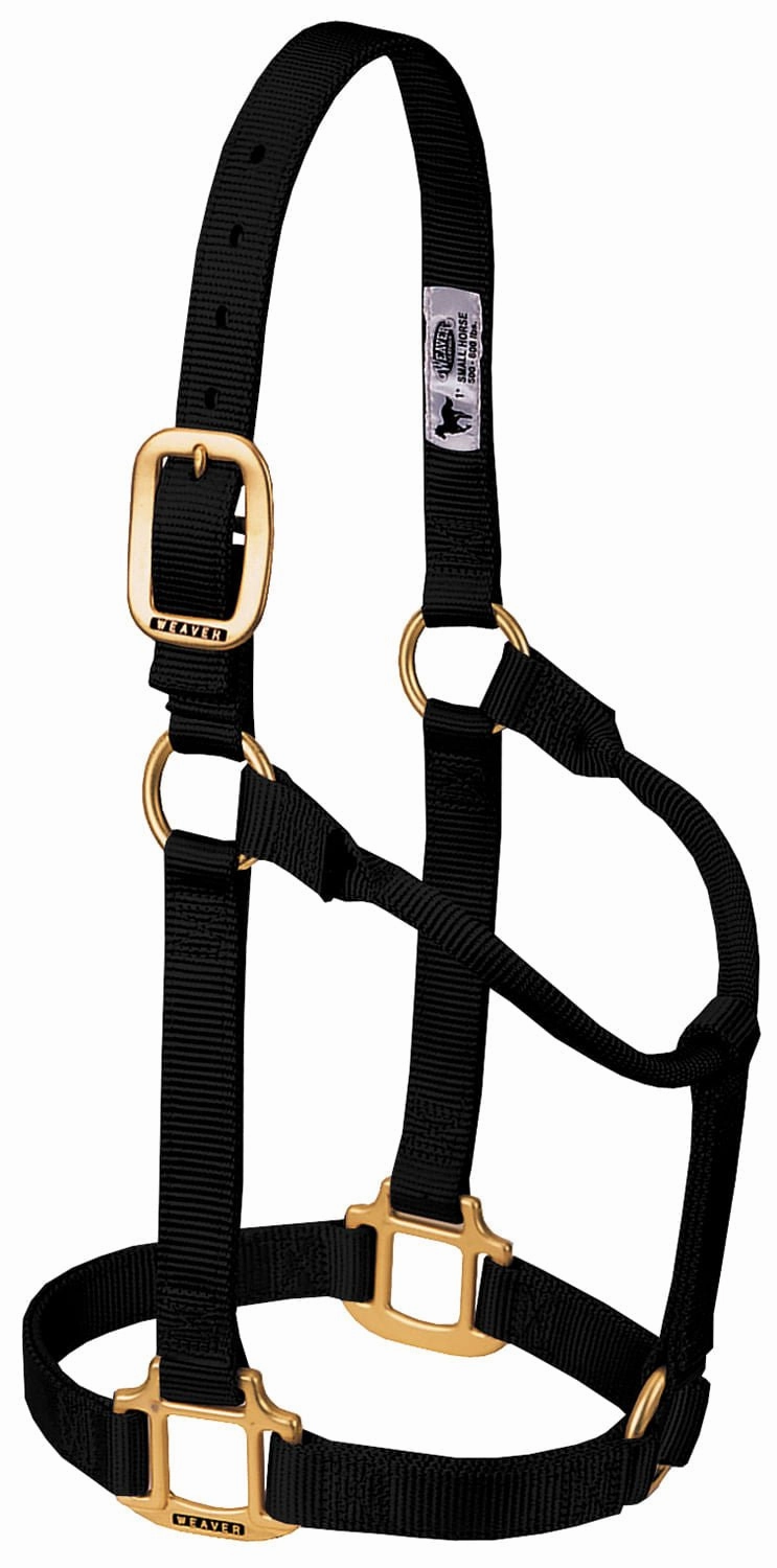 Weaver Original Nylon Horse Halter