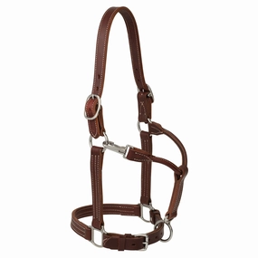 Weaver Ranch Leather Horse Halter bird pet,aviary product