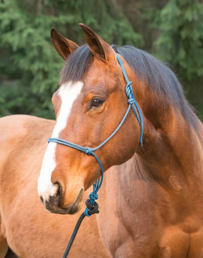 Weaver Silvertip Big Sky Rope Halter, Full Size bird pet,aviary product