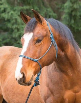 Weaver Silvertip Big Sky Rope Halter, Full Size bird pet,aviary product