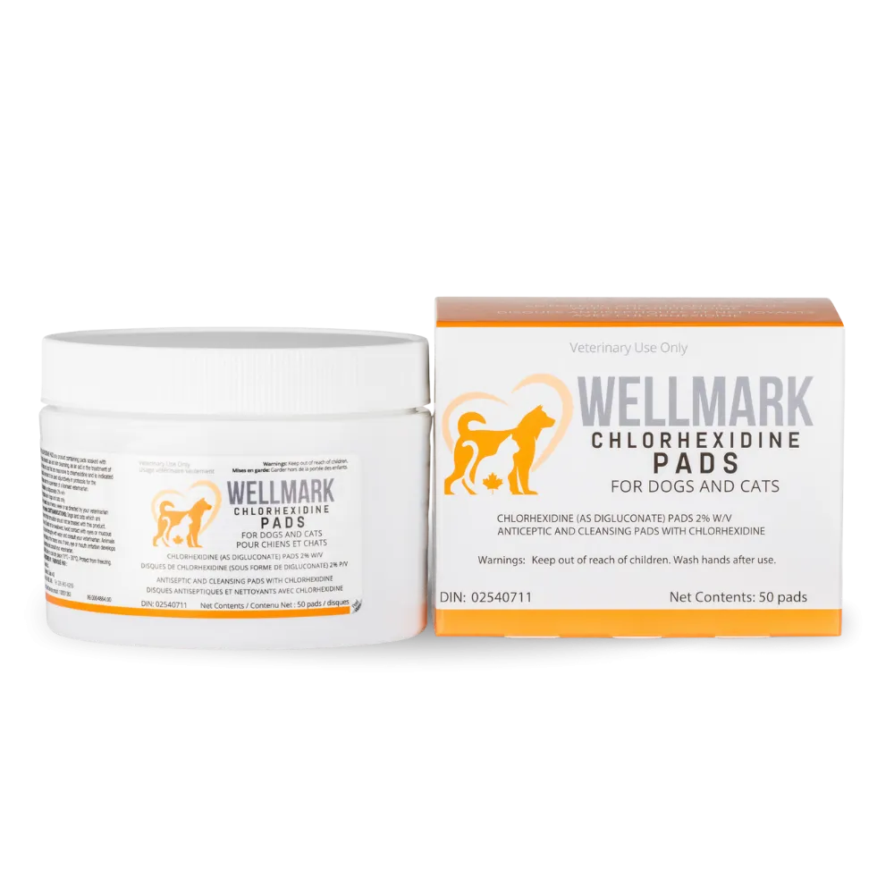 Wellmark Chlorhexidine Pads for Dogs & Cats - 50 pads cat vitamins, cat immune support
