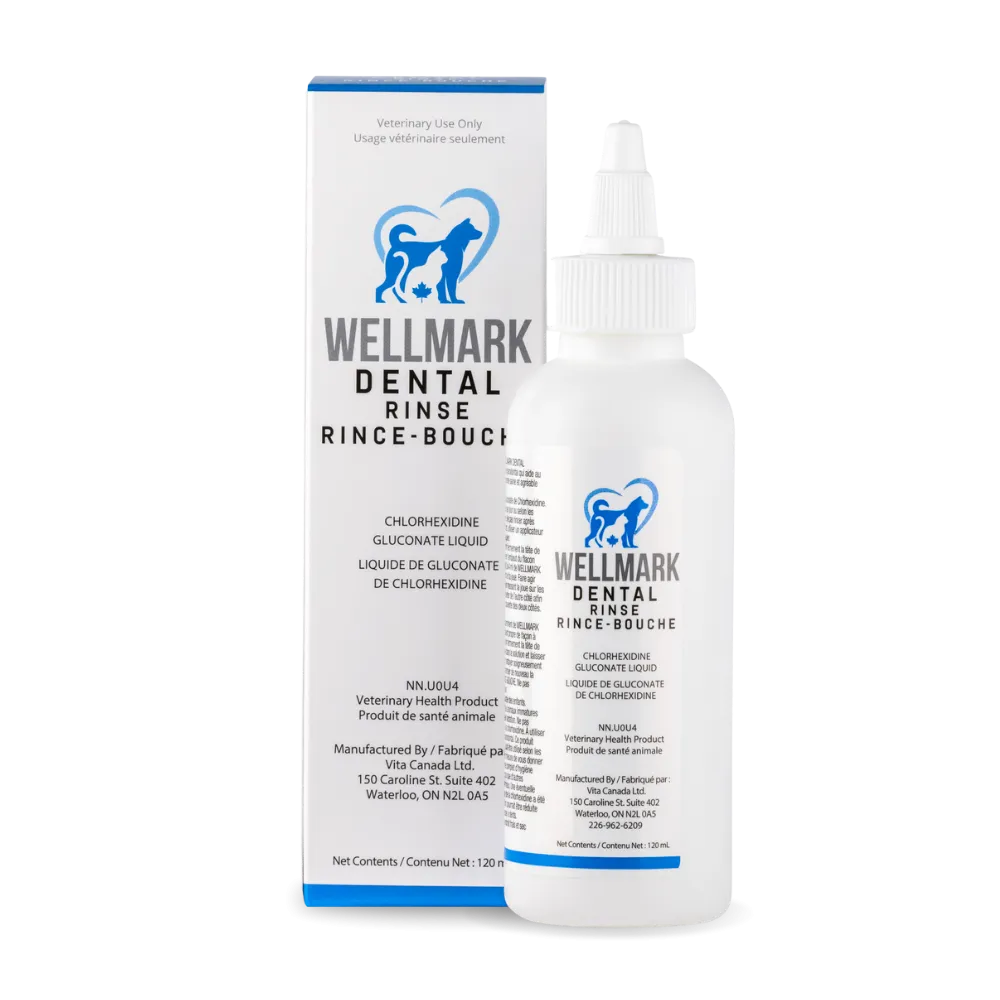 Wellmark Dental Rinse for Dogs & Cats - 120ml cat vitamins, cat immune support