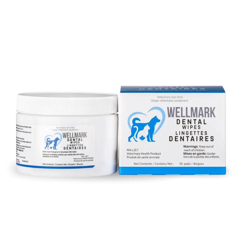 Wellmark Dental Wipes for Dogs & Cats - 50pads cat vitamins, cat immune support