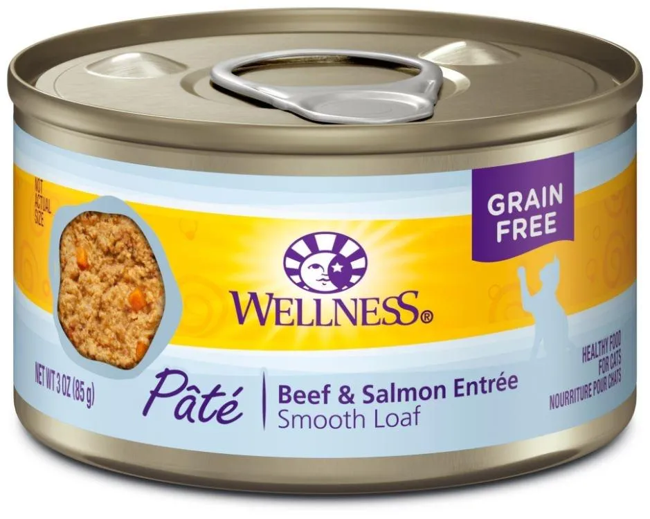 Wellness Complete Health Grain Free Natural Beef and Salmon Recipe Canned Cat Food grain free cat food, no grain dry cat food
