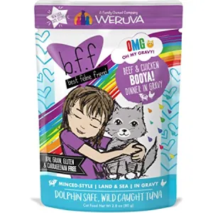 Weruva BFF Oh My Gravy Booya Grain Free Beef & Chicken in Gravy Cat Food Pouch healthy cat food, premium dry cat food