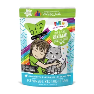 Weruva B.F.F. Oh My Gravy (OMG) Shazaam! 2.8oz dry cat food, cat kibble