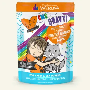 Weruva BFF Oh My Gravy Purr-Fect Plannin Grain Free Chicken, Turkey, & Salmon in Gravy Wet Cat Food Pouch wet cat food, canned cat food