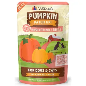 Weruva Pumpkin Patch Up! Ginger and Turmeric Dog & Cat Food Supplements organic cat food, holistic cat food