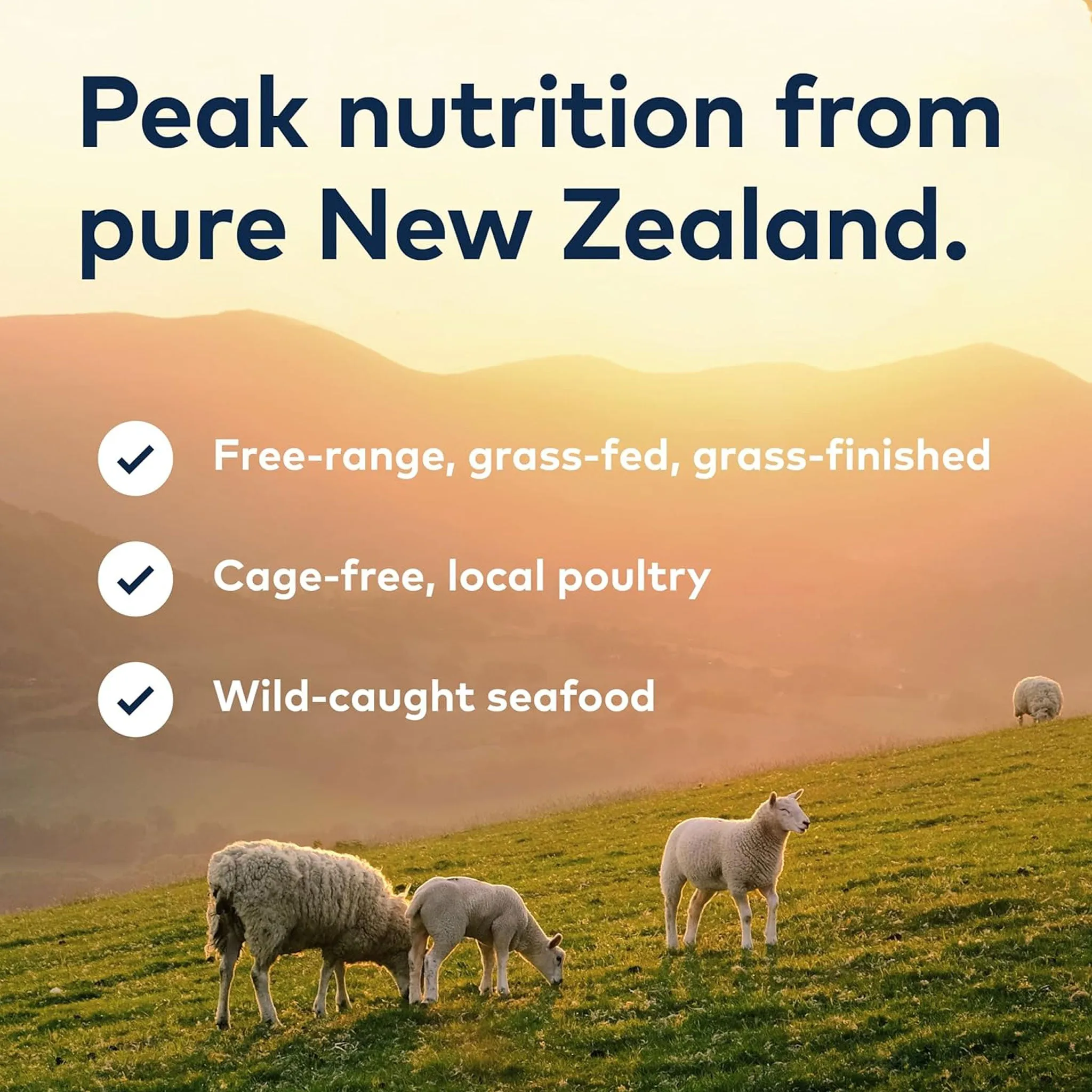 Ziwi Air-Dried Beef Cat Food