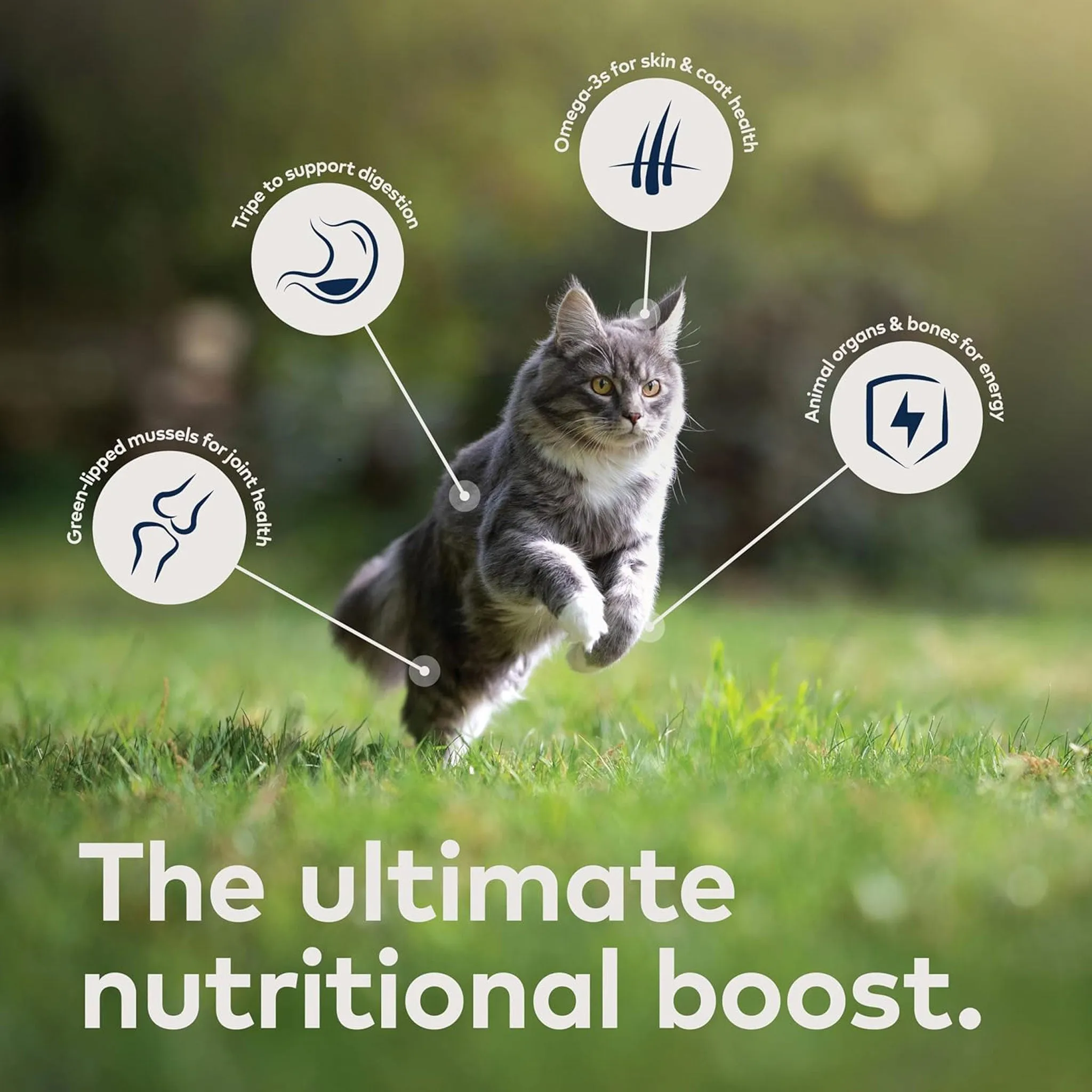 Ziwi Peak Steam & Dried Chicken Cat Food