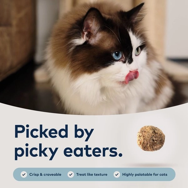 ZIWI Peak Steam & Dried Chicken with Whole Mackerel Recipe Air-Dried Cat Food
