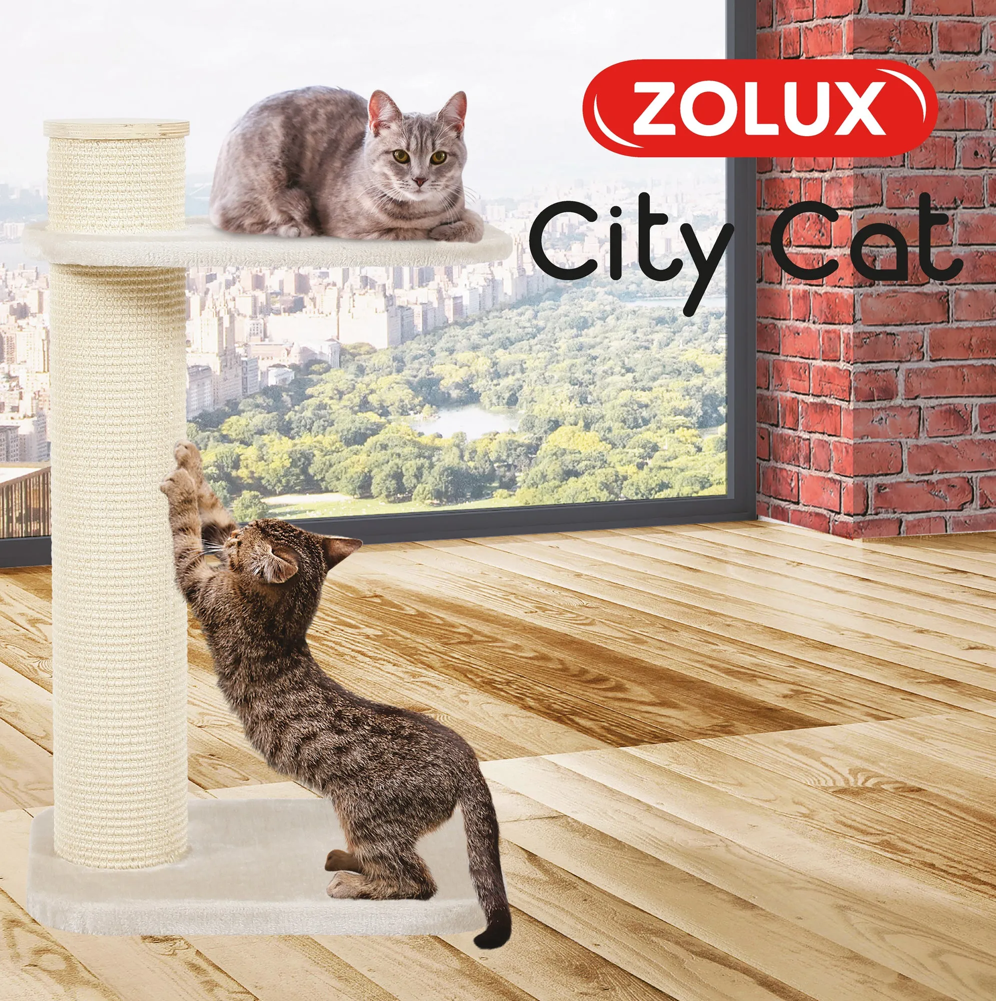 Zolux City Cat 2 Scratching Post with Platform - 59 x 45 x 97 cm adult cat food, best cat food for adults