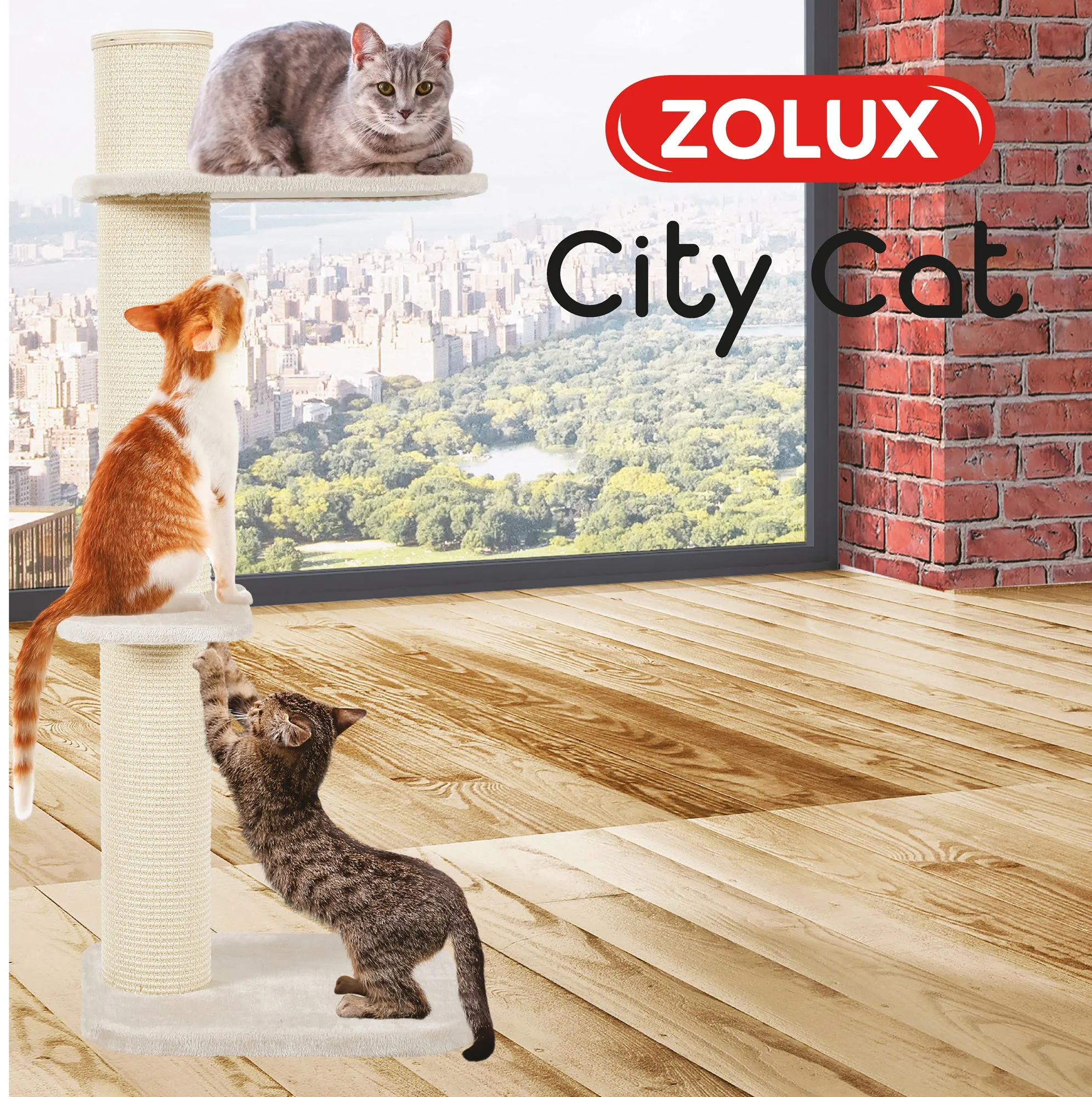 Zolux City Cat 3 Scratching Post with 2 Platforms adult cat food, best cat food for adults